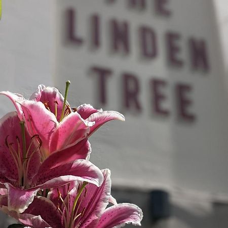格洛斯特Linden Tree住宿加早餐旅馆 外观 照片